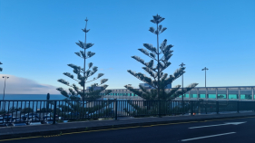 Tempo vai arrefecer ligeiramente hoje, dia de S&atilde;o Pedro