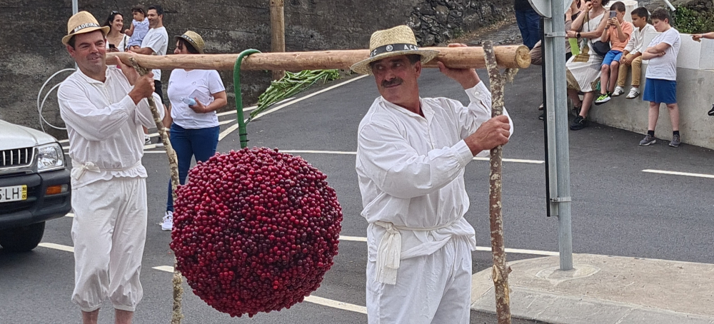 Cortejo da Cereja animou Jardim da Serra (com vídeo)