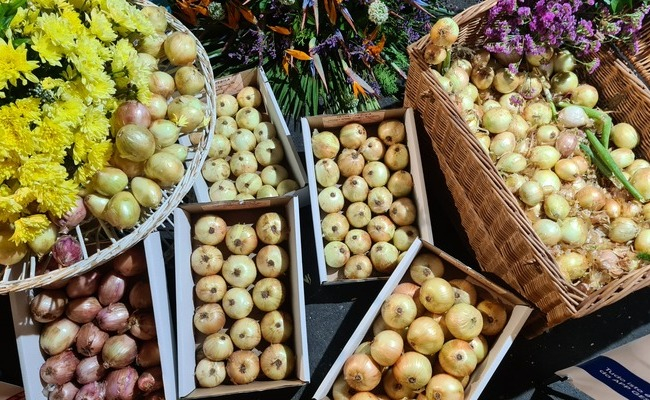Cebola é rainha no Caniço