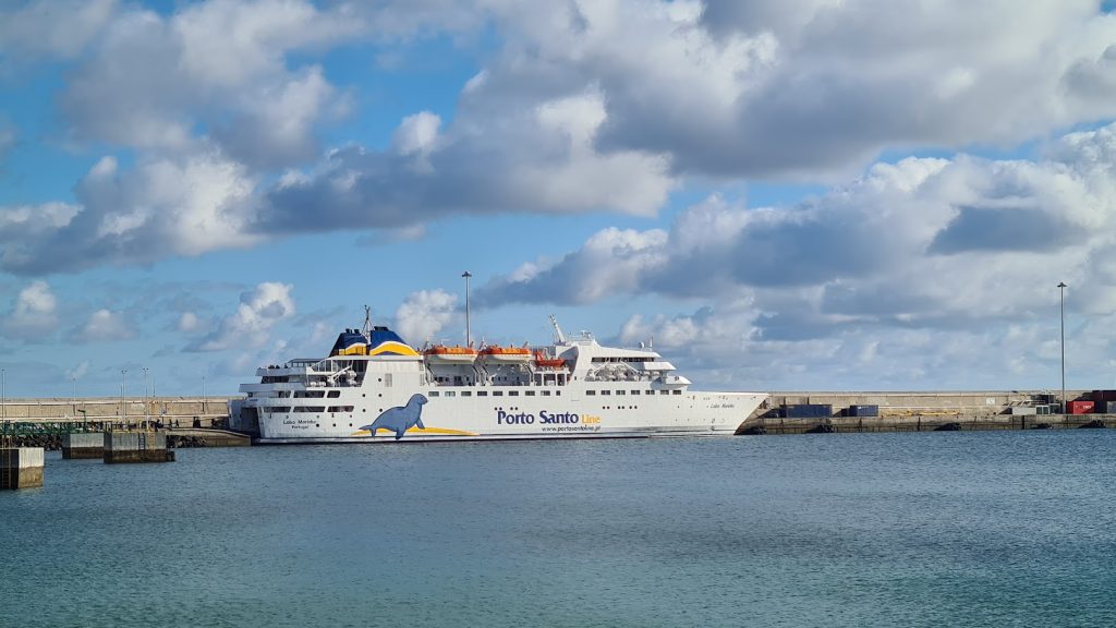 Navio Lobo Marinho