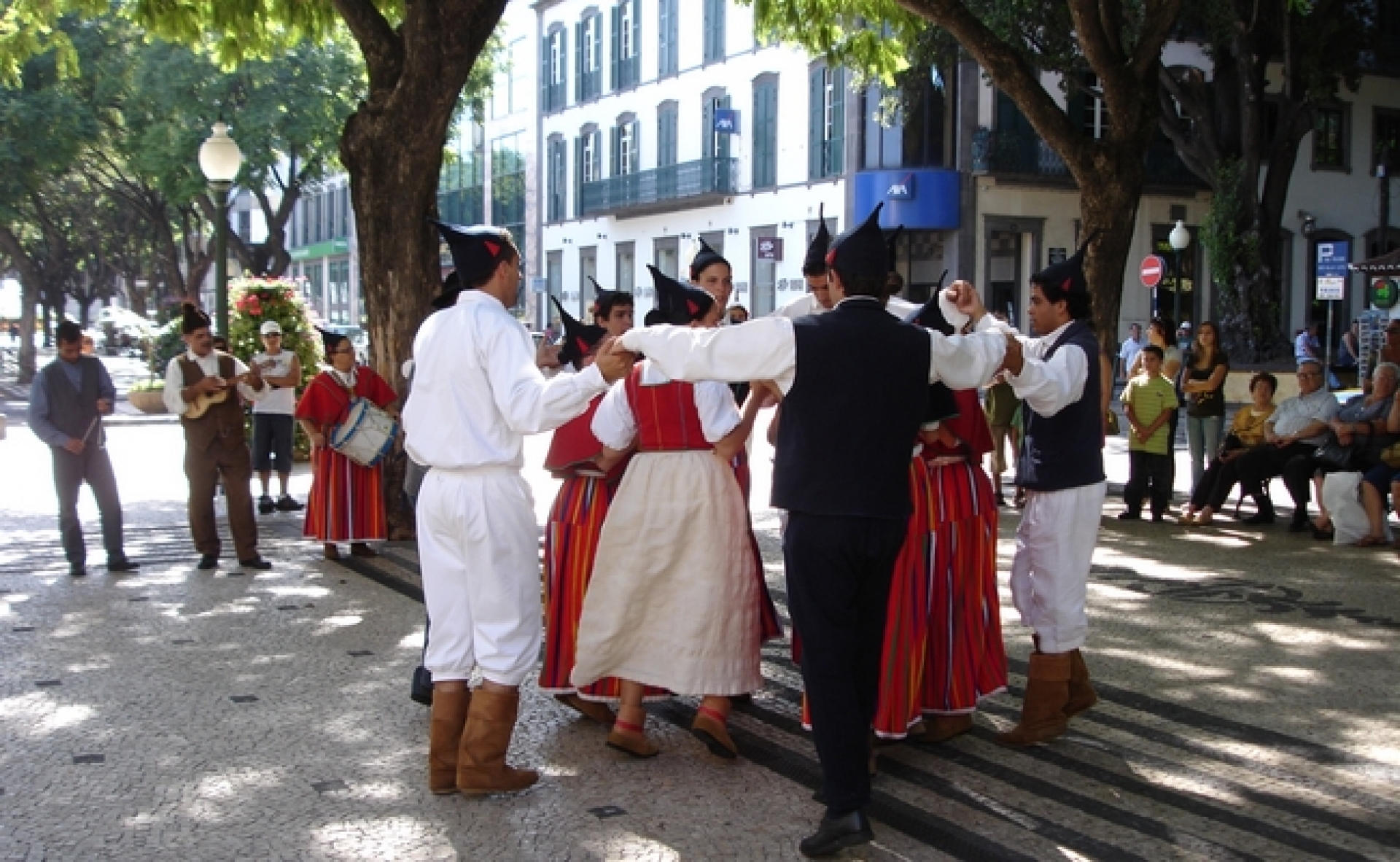 Bailinho da Madeira